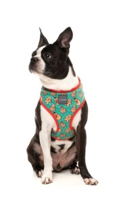 FuzzYard Cookies For Santa Christmas Harness - X-Small (22cm Neck - 25-32cm Chest) -Fuzzyard 9345719074593A 2