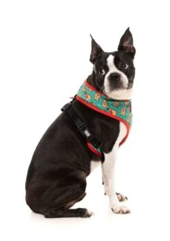 FuzzYard Cookies For Santa Christmas Harness - X-Small (22cm Neck - 25-32cm Chest) -Fuzzyard 9345719074593A 3