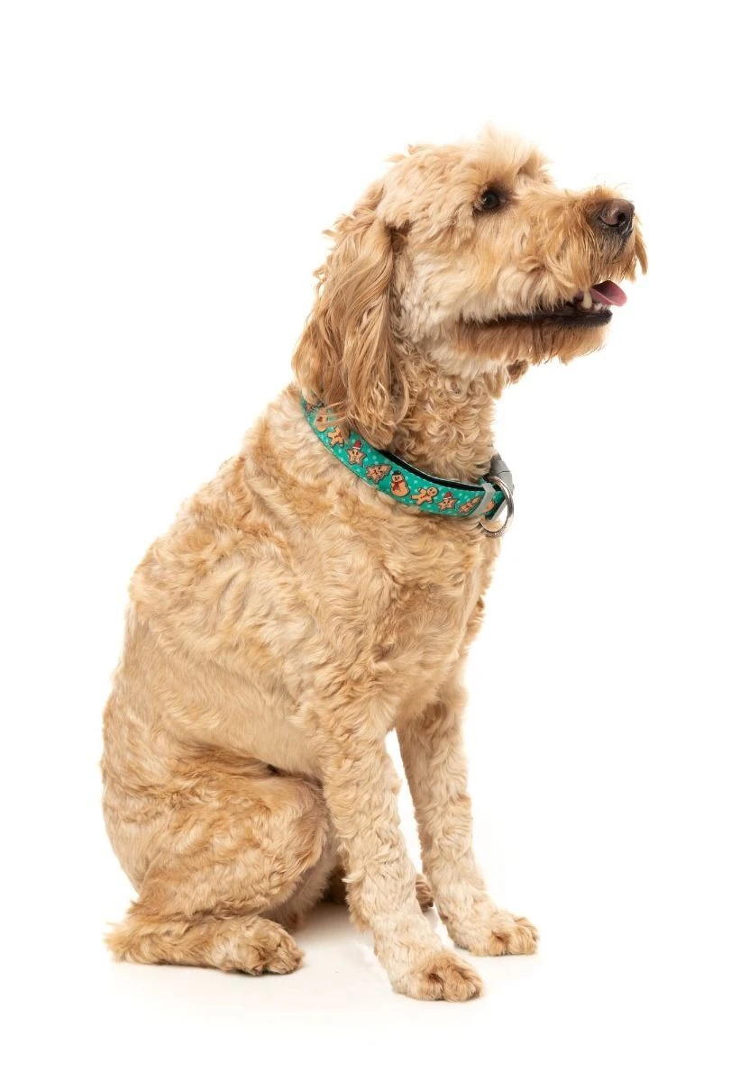 FuzzYard Cookies For Santa Christmas Dog Collar - Small (15mm X 25-38cm) 4 FuzzYard Cookies For Santa Christmas Dog Collar - Small (15mm X 25-38cm) - Image 2