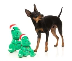 FuzzYard Tree Rex Dog Toy - Large (22x19cm) 9 FuzzYard Tree Rex Dog Toy - Large (22x19cm) -Fuzzyard 9345719074791A 3