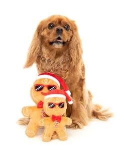 FuzzYard Mr Gingerbread Dog Toy - Large (22x15cm) -Fuzzyard 9345719074814A 2