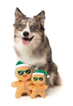 FuzzYard Mrs Gingerbread Dog Toy - Large (22x15cm) -Fuzzyard 9345719074838A 3