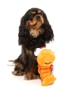 FuzzYard Prawn Mendes Dog Toy (25x10cm) -Fuzzyard 9345719074845A 2