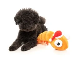 FuzzYard Prawn Mendes Dog Toy (25x10cm) -Fuzzyard 9345719074845A 3