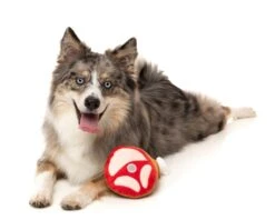 FuzzYard Holiday Ham Dog Toy (13x23cm) -Fuzzyard 9345719074869A 2