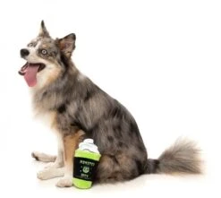 FuzzYard Monster Brew Dog Toy (15cm X 9cm) 7 FuzzYard Monster Brew Dog Toy (15cm X 9cm) -Fuzzyard 9345719075583A 2