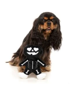 FuzzYard X-Ray Pumpkin Dog Toy (19cm X 15cm) -Fuzzyard 9345719075590A 2