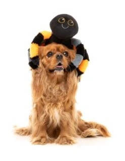 FuzzYard Terri Tarantula Dog Toy (22cm X 30cm) -Fuzzyard 9345719075613A 3