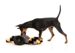 FuzzYard Terri Tarantula Dog Toy (22cm X 30cm) -Fuzzyard 9345719075613A 5