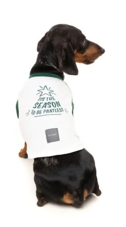 FuzzYard Tis The Season To Be Pantless Dog T-Shirt - Size 1 (26-29cm Long) 13 FuzzYard Tis The Season To Be Pantless Dog T-Shirt - Size 1 (26-29cm Long) -Fuzzyard 9345719076122A 3