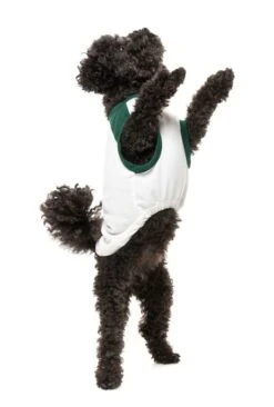 FuzzYard Tis The Season To Be Pantless Dog T-Shirt - Size 1 (26-29cm Long) 17 FuzzYard Tis The Season To Be Pantless Dog T-Shirt - Size 1 (26-29cm Long) -Fuzzyard 9345719076122A 7