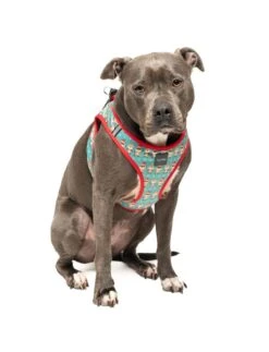 FuzzYard Disco Deers Christmas Step-In Harness - X-Small (40-42cm Neck - 44-46cm Chest) -Fuzzyard 9345719076344A 2