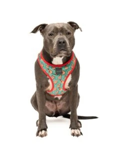 FuzzYard Cookies For Santa Christmas Step-In Harness - XX-Small (34-36cm Neck - 39-41cm Chest) -Fuzzyard 9345719076399A 2