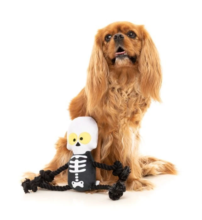 FuzzYard Indiana Bones Rope Dog Toy (20cm X 9cm) 4 FuzzYard Indiana Bones Rope Dog Toy (20cm X 9cm) - Image 2