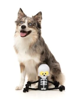 FuzzYard Indiana Bones Rope Dog Toy (20cm X 9cm) 7 FuzzYard Indiana Bones Rope Dog Toy (20cm X 9cm) -Fuzzyard 9345719076559A 2