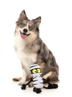 FuzzYard Ryan Gauze-ling Rope Dog Toy (20cm X 9cm) -Fuzzyard 9345719076566A 1