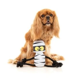 FuzzYard Ryan Gauze-ling Rope Dog Toy (20cm X 9cm) -Fuzzyard 9345719076566A 2