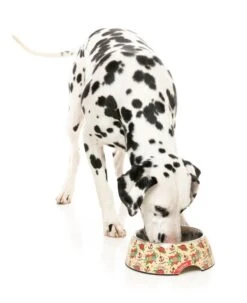 FuzzYard Easy Feeder Dog Bowl - Ink'd Up - Medium (400ml) 9 FuzzYard Easy Feeder Dog Bowl - Ink'd Up - Medium (400ml) -Fuzzyard 9345719076580A 1