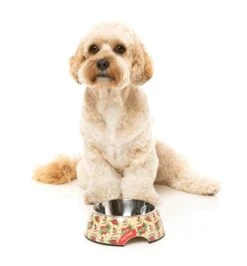 FuzzYard Easy Feeder Dog Bowl - Ink'd Up - Medium (400ml) 10 FuzzYard Easy Feeder Dog Bowl - Ink'd Up - Medium (400ml) -Fuzzyard 9345719076580A 2