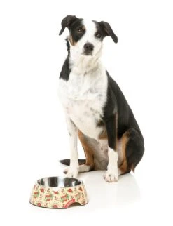 FuzzYard Easy Feeder Dog Bowl - Ink'd Up - Medium (400ml) 11 FuzzYard Easy Feeder Dog Bowl - Ink'd Up - Medium (400ml) -Fuzzyard 9345719076580A 3