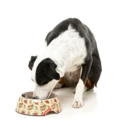 FuzzYard Easy Feeder Dog Bowl - Ink'd Up - Medium (400ml) 13 FuzzYard Easy Feeder Dog Bowl - Ink'd Up - Medium (400ml) -Fuzzyard 9345719076580A 5