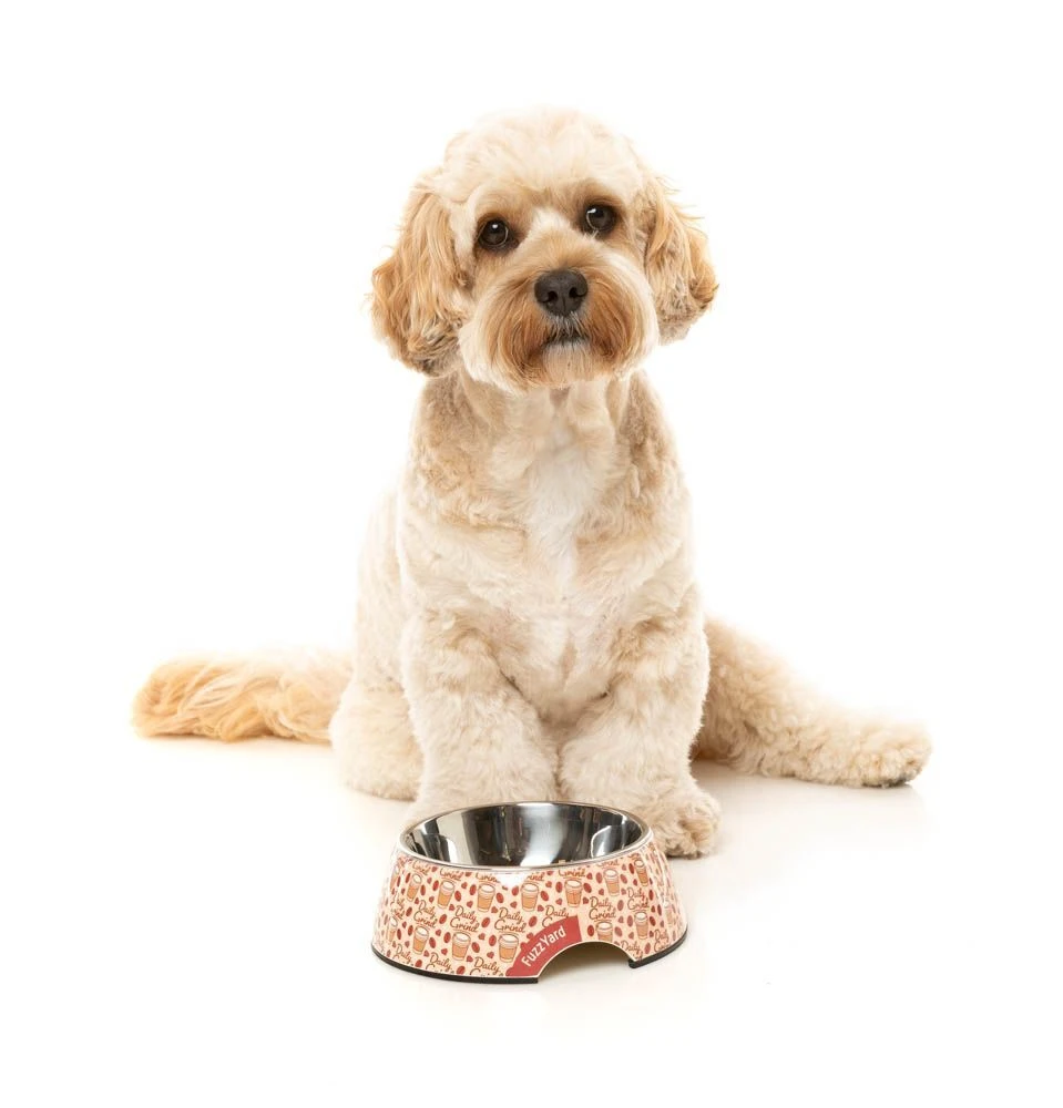 FuzzYard Easy Feeder Dog Bowl - Daily Grind - Small (190ml) 6 FuzzYard Easy Feeder Dog Bowl - Daily Grind - Small (190ml) - Image 4