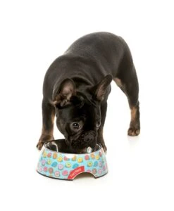 FuzzYard Easy Feeder Dog Bowl - You Drive Me Glazy - Medium (400ml) -Fuzzyard 9345719076672A 4