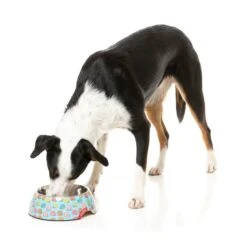 FuzzYard Easy Feeder Dog Bowl - You Drive Me Glazy - Medium (400ml) -Fuzzyard 9345719076672A 5