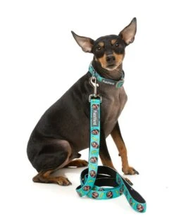 FuzzYard Dog Lead - Gor-illz - Small (15mm X 120cm) -Fuzzyard 9345719076788A 2