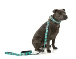 FuzzYard Dog Lead - Gor-illz - Small (15mm X 120cm) -Fuzzyard 9345719076788A 3