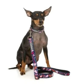FuzzYard Dog Lead - Jackpup - Small (15mm X 120cm) -Fuzzyard 9345719077051A 1