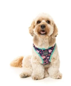 FuzzYard Step-In Dog Harness - Jackpup - XX-Small (34-36 Neck - 39-41cm Chest) -Fuzzyard 9345719077129A 3
