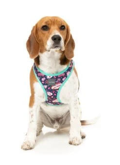 FuzzYard Step-In Dog Harness - Jackpup - XX-Small (34-36 Neck - 39-41cm Chest) -Fuzzyard 9345719077129A 4