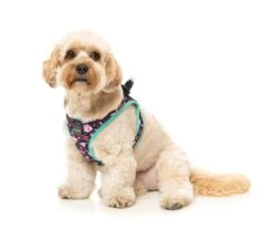 FuzzYard Step-In Dog Harness - Jackpup - XX-Small (34-36 Neck - 39-41cm Chest) -Fuzzyard 9345719077129A 5