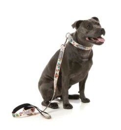 FuzzYard Dog Lead - Ink'd Up - Small (15mm X 120cm) -Fuzzyard 9345719077327A 2