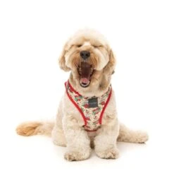 FuzzYard Step-In Dog Harness - Ink'd Up - X-Small (40-42 Neck - 44-46cm Chest) -Fuzzyard 9345719077402A 2