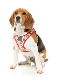FuzzYard Step-In Dog Harness - Ink'd Up - X-Small (40-42 Neck - 44-46cm Chest) -Fuzzyard 9345719077402A 5