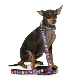 FuzzYard Dog Lead - Highscore - Small (15mm X 120cm) -Fuzzyard 9345719077662A 2