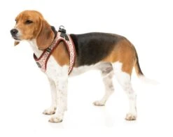 FuzzYard Step-In Dog Harness - Daily Grind - XX-Small (34-36 Neck - 39-41cm Chest) -Fuzzyard 9345719078089A 3