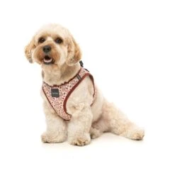 FuzzYard Step-In Dog Harness - Daily Grind - XX-Small (34-36 Neck - 39-41cm Chest) -Fuzzyard 9345719078089A 4