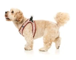 FuzzYard Step-In Dog Harness - Daily Grind - XX-Small (34-36 Neck - 39-41cm Chest) -Fuzzyard 9345719078089A 5