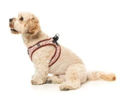 FuzzYard Step-In Dog Harness - Daily Grind - XX-Small (34-36 Neck - 39-41cm Chest) -Fuzzyard 9345719078089A 6