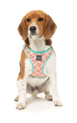 FuzzYard Step-In Dog Harness - Two-Cans - XX-Small (34-36 Neck - 39-41cm Chest) 10 FuzzYard Step-In Dog Harness - Two-Cans - XX-Small (34-36 Neck - 39-41cm Chest) -Fuzzyard 9345719078423A 2