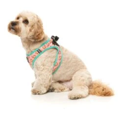 FuzzYard Step-In Dog Harness - Two-Cans - XX-Small (34-36 Neck - 39-41cm Chest) 13 FuzzYard Step-In Dog Harness - Two-Cans - XX-Small (34-36 Neck - 39-41cm Chest) -Fuzzyard 9345719078423A 5