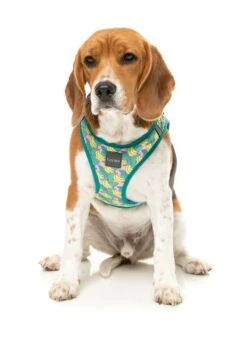 FuzzYard Step-In Dog Harness - Bananarama - XX-Small (34-36 Neck - 39-41cm Chest) -Fuzzyard 9345719078706A 2