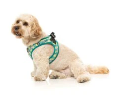 FuzzYard Step-In Dog Harness - Bananarama - XX-Small (34-36 Neck - 39-41cm Chest) -Fuzzyard 9345719078706A 3