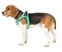 FuzzYard Step-In Dog Harness - Bananarama - XX-Small (34-36 Neck - 39-41cm Chest) -Fuzzyard 9345719078706A 4