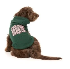 FuzzYard Dog Treats Hoodie - Green (Size 1) (26-29cm) -Fuzzyard 9345719082543A 2