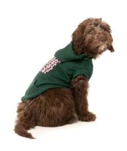 FuzzYard Dog Treats Hoodie - Green (Size 1) (26-29cm) -Fuzzyard 9345719082543A 3