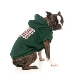 FuzzYard Dog Treats Hoodie - Green (Size 1) (26-29cm) -Fuzzyard 9345719082543A 4